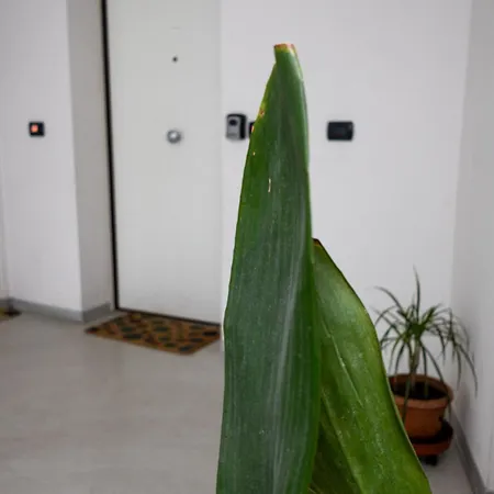 Le Tre Torri - Twa Apartament